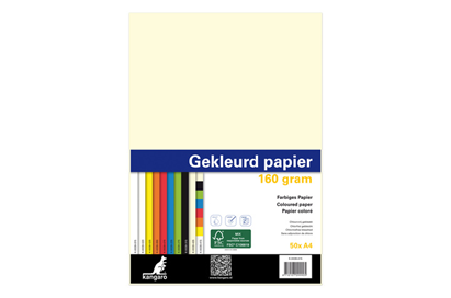 Slechte factor Succesvol Dicteren Printpapier 160 grams Assorti - Boekhandel Mondria