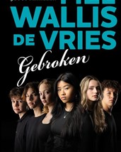 Wallis de Vries - Gebroken